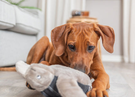 Trixie BE NORDIC Schildkröte Hauke - Stoffplüsch 34cm