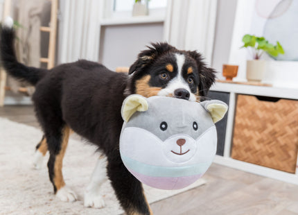 Trixie Junior Bär - Plüsch, 14 cm, braun