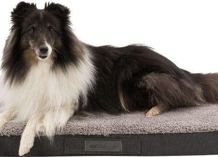 Trixie Vital Kissen Bendson – orthopädisches Hundekissen grau