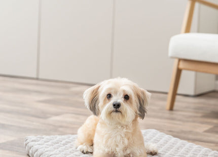 Trixie Vital Matratze Noah - orthopädisches Hundebett hellgrau