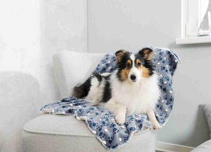 Trixie Decke Tammy - Plüschdecke blau/beige 100×70 cm