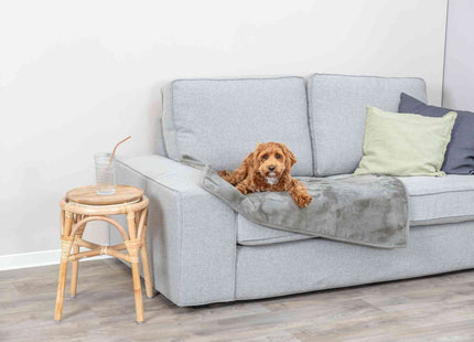 Trixie Decke Levy – Plüsch Hundedecke grau 100×70 cm