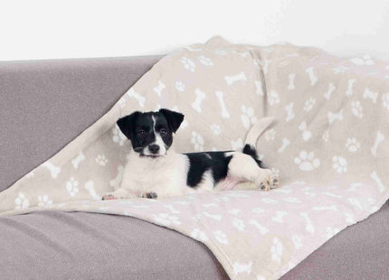 Trixie Decke Kenny - Plüsch, beige, 75×50 cm