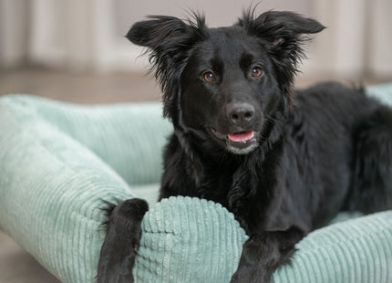 Trixie Vital Bett Jonna – Cordplüsch Hundebett salbei