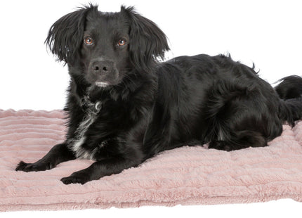 Trixie Liegematte Lonni – rosa, 50×35 cm