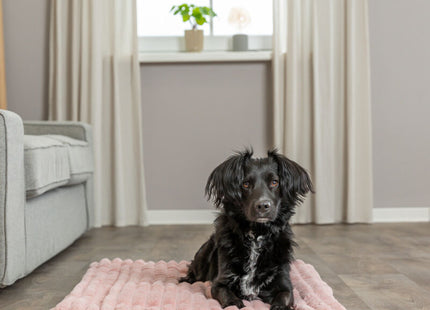 Trixie Liegematte Lonni – rosa, 50×35 cm