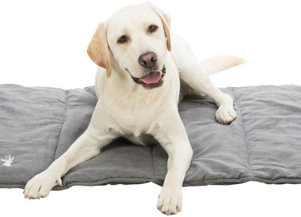 Trixie Reisedecke Leni – Reisedecke grau 80x60cm