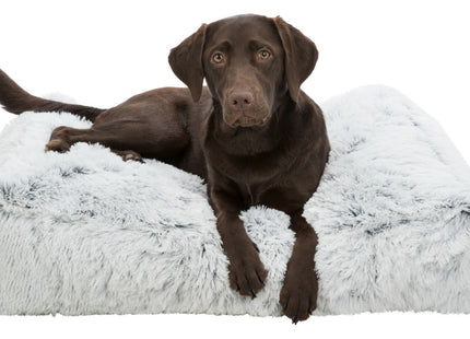 Trixie Kissen Harvey – eckig, weiss-schwarz, 80×60 cm