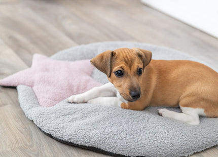Trixie Junior Liegematte - Hundematte grau flieder Stern
