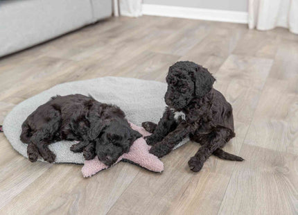 Trixie Junior Liegematte - Hundematte grau flieder Stern