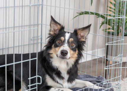 Trixie Transportkäfig für Haustiere - robust und sicher