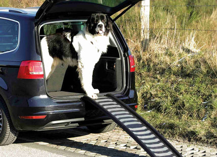 Trixie Klapp-Rampe – Kunststoff, 39×160 cm