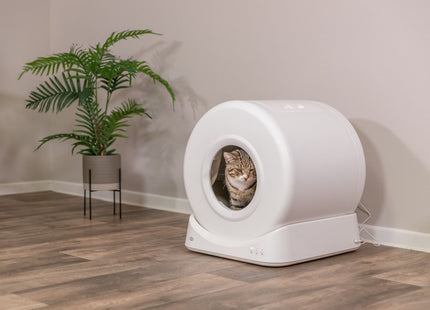 Trixie Smarte Katzentoilette - Kunststoff weiss