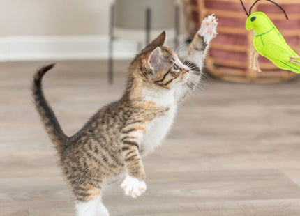 Trixie Filzinsekten mit Katzenminze, 48 Stück