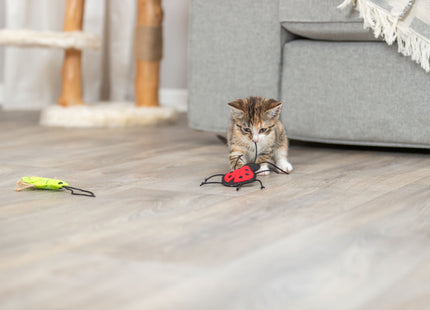 Trixie Filzinsekten mit Katzenminze, 48 Stück