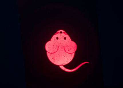 Trixie LED Pointer Catch the Light, Maus, USB