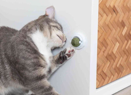 Trixie Katzenminze Ball mit Halterung - ø5cm, grün