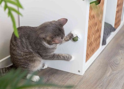 Trixie Katzenminze Ball mit Halterung - ø5cm, grün