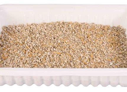 Trixie Biogras Schale 100 g - Natürliches Katzengras für die Gesundheit und das Wohlbefinden Ihrer Katze