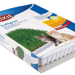 Trixie Biogras Schale 100 g - Natürliches Katzengras für die Gesundheit und das Wohlbefinden Ihrer Katze