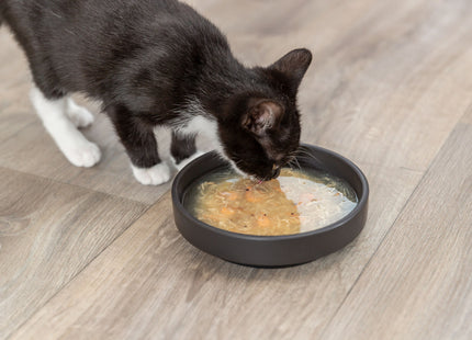 Trixie Salmon Soup mit Huhn und Lachs, 80g