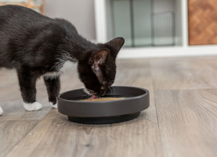 Trixie Salmon Soup - Katzensuppe Huhn und Lachs 80g