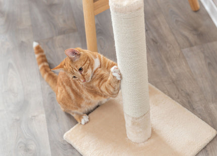 Trixie Kratzstamm Batres - beige, 62 cm hoch