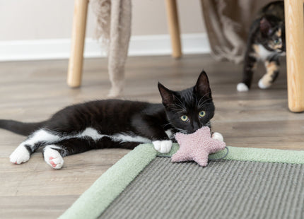 Trixie Junior Kratzmatte - grau mint 47x47cm