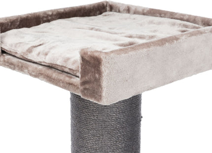 Trixie Kratzbaum XXL Ramon - Katzenkratzbaum cappuccino