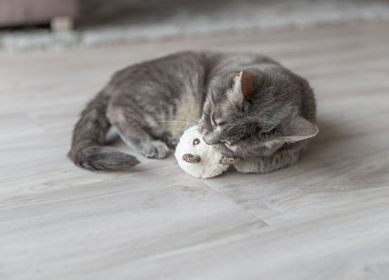 Trixie Plüschbär - Katzenminze, diverse Designs, 8cm