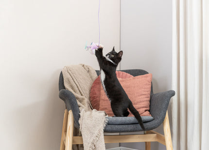 Trixie Junior Spielangel Stern - Holz, Plüsch, 40cm