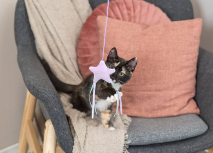 Trixie Junior Spielangel Stern - Holz, Plüsch, 40cm