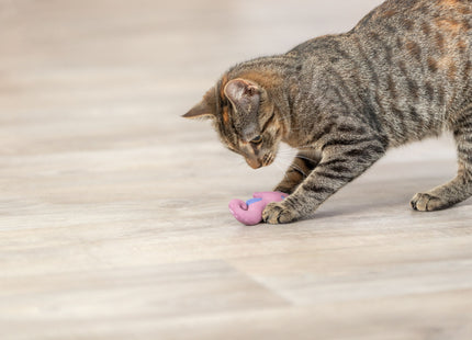 Trixie Seepferdchen - Plüsch-Katzenspielzeug 11cm