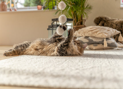 Trixie Spielangel mit 3 Bällen - 50cm, bunt