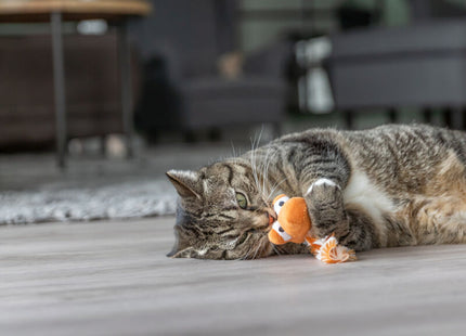 Trixie Drache Plüschspielzeug Katzenminze bunt 20cm