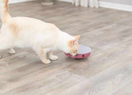 Trixie Cat Activity Rocking Maze - Kunststoff, ø18cm