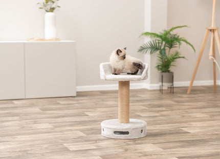 Trixie Kratzbaum Dalia – Katzenkratzbaum grau 54cm