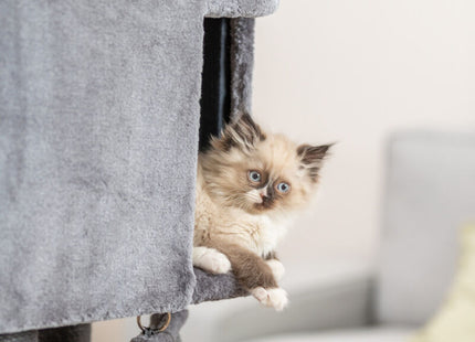 Trixie Kratzbaum Active – grau, 122 cm, mit Rampe