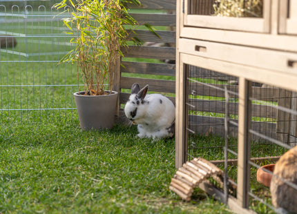 Trixie Natura Kleintierstall mit Freilaufgehege