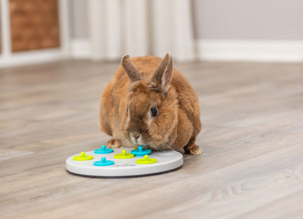 Trixie Kaninchen-Spiel Snack Board – Kunststoff, ø20cm