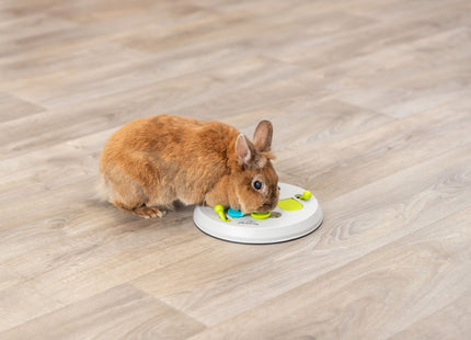 Trixie Flip Board - Kunststoff, Ø23cm, Nagetierspielzeug