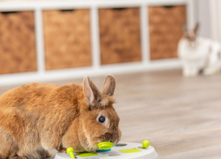 Trixie Flip Board - Kunststoff, Ø23cm, Nagetierspielzeug