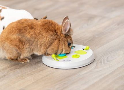 Trixie Flip Board - Kunststoff, Ø23cm, Nagetierspielzeug