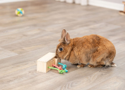 Trixie Snack Cube, Holz