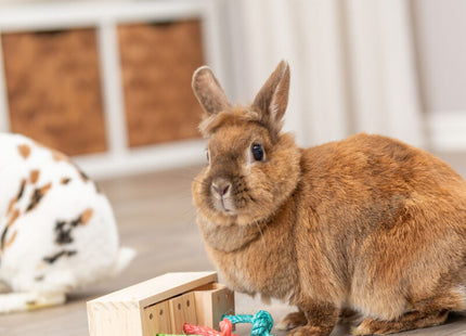 Trixie Snack Cube, Holz