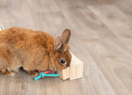 Trixie Snack Cube, Holz