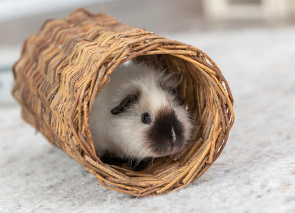 Trixie Weidentunnel - Weidetunnel für Hamster ø10×25cm