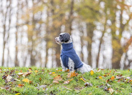 Trixie Pullover Norwood - Hundepullover blau XS