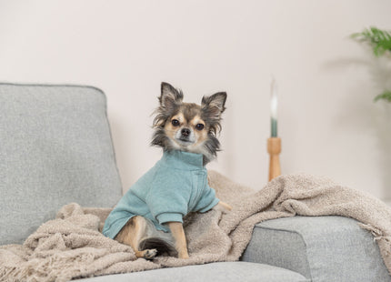 Trixie Sweatshirt Littleton - Hundepullover mint XXS