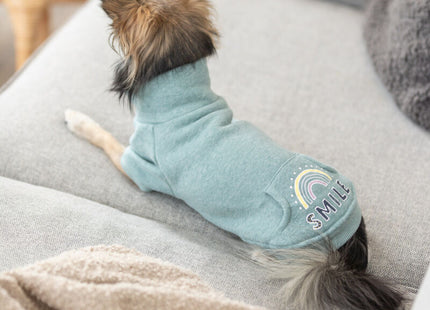Trixie Sweatshirt Littleton - Hundepullover mint XXS